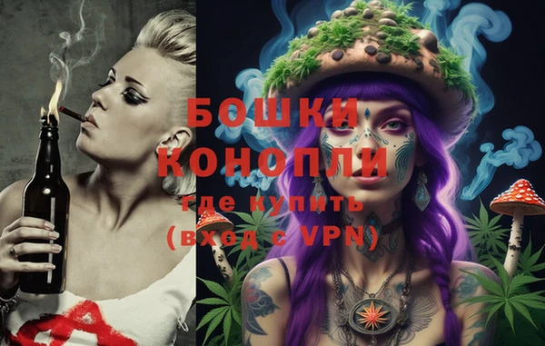 ешки Алексеевка