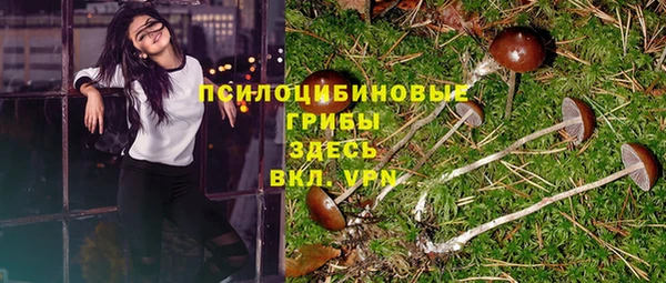 ешки Алексеевка